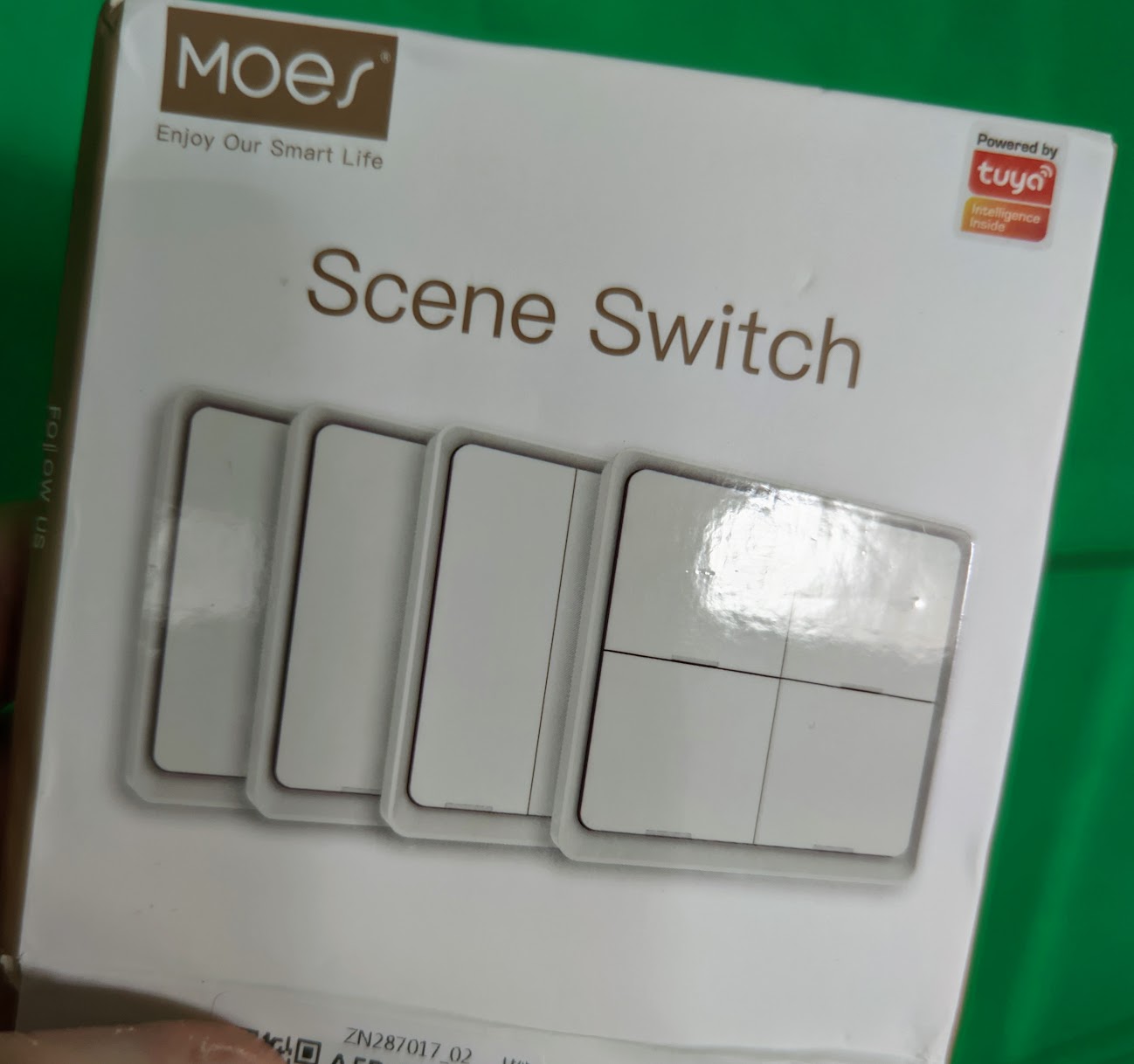 Moes Scene Switch
